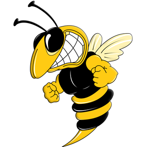 Wasp PNG-74604